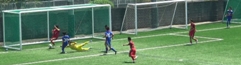 250426-hlbrs.jpg